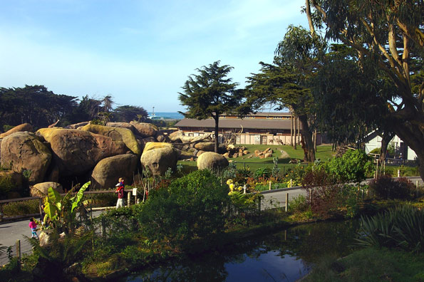 San Francisco Zoo Tickets Hours