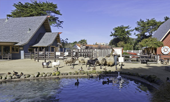 San Francisco Zoo - Hours