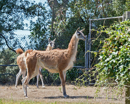 _MG_1054edited1-X2-(2)