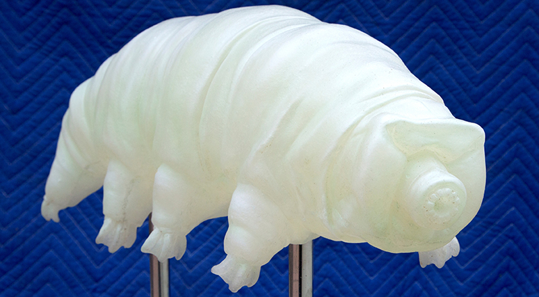 _MG_4086edited1Tardigrade MH-1
