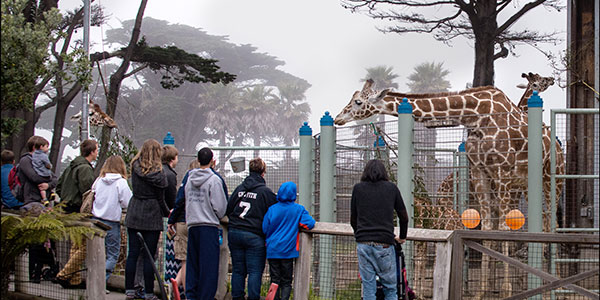 Tours 2023 - San Francisco Zoo & Gardens