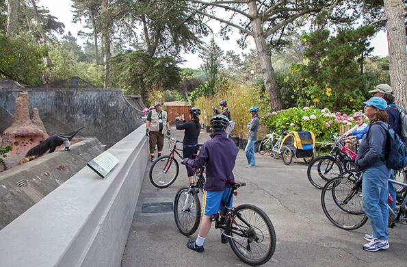 Bikeabout; bicycle; bike about
