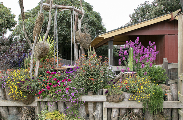 WW-garden
