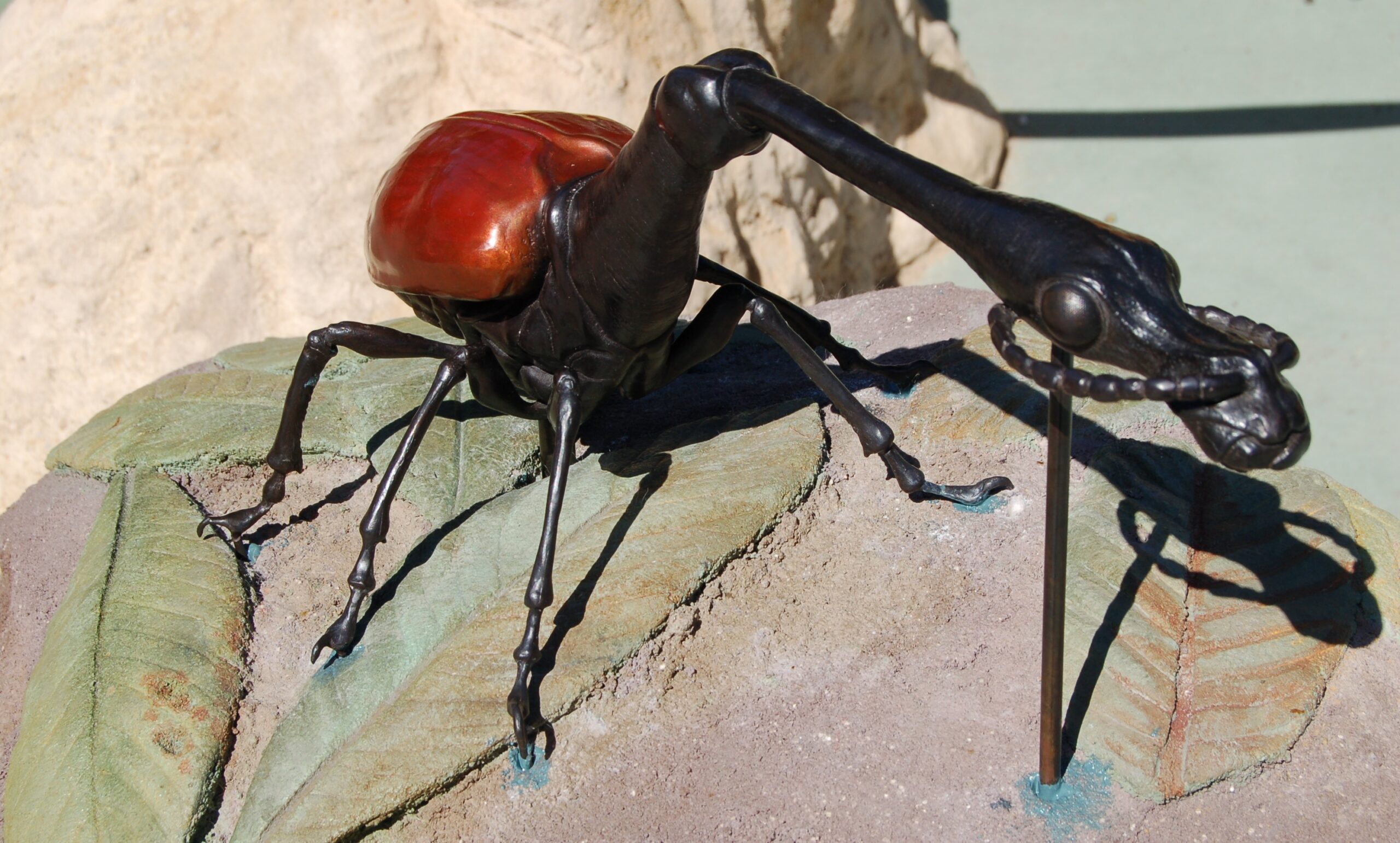 giraffe weevil BB