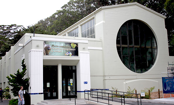 SF Zoo's blind sea lions look on the bright side