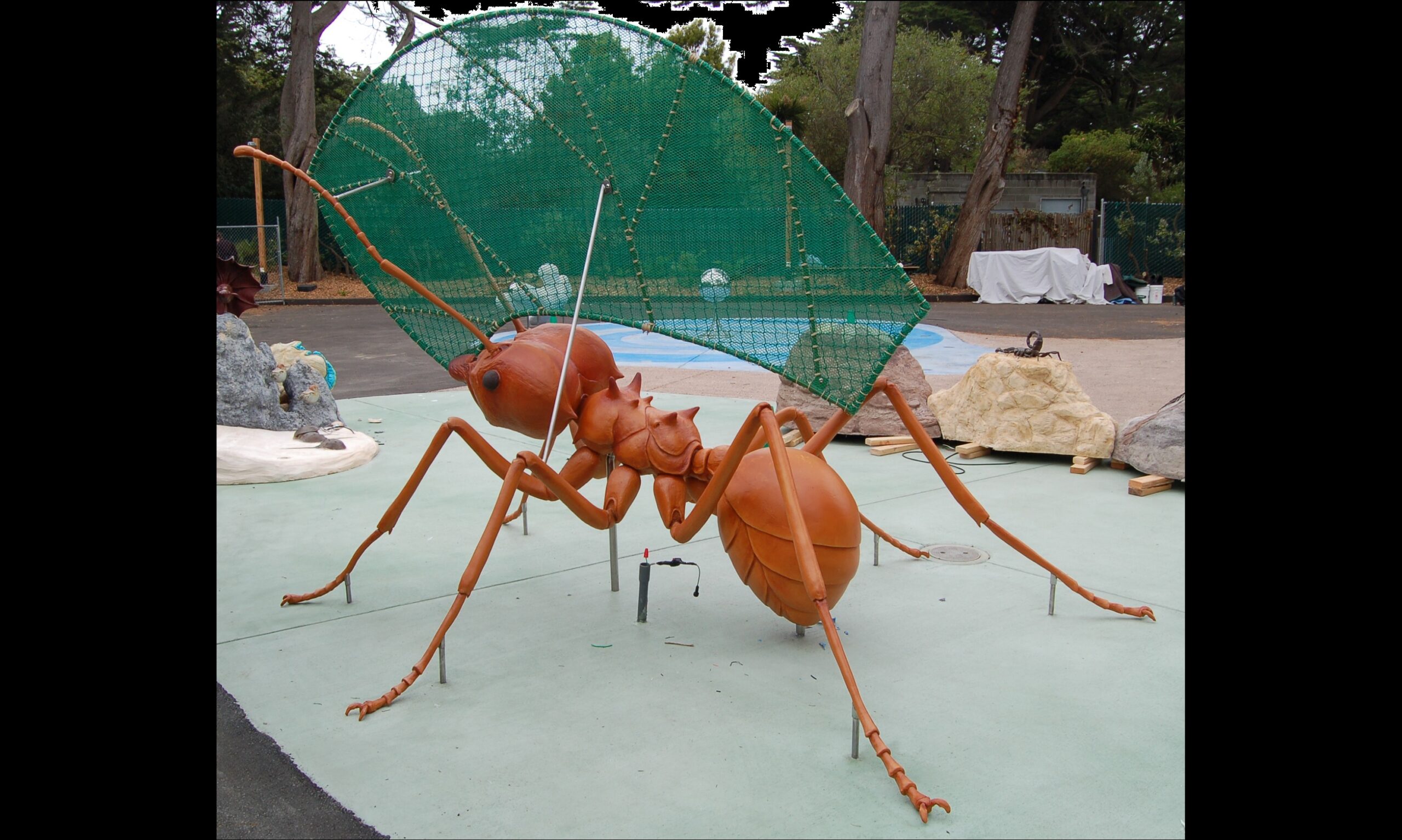 leafcutter ant BB