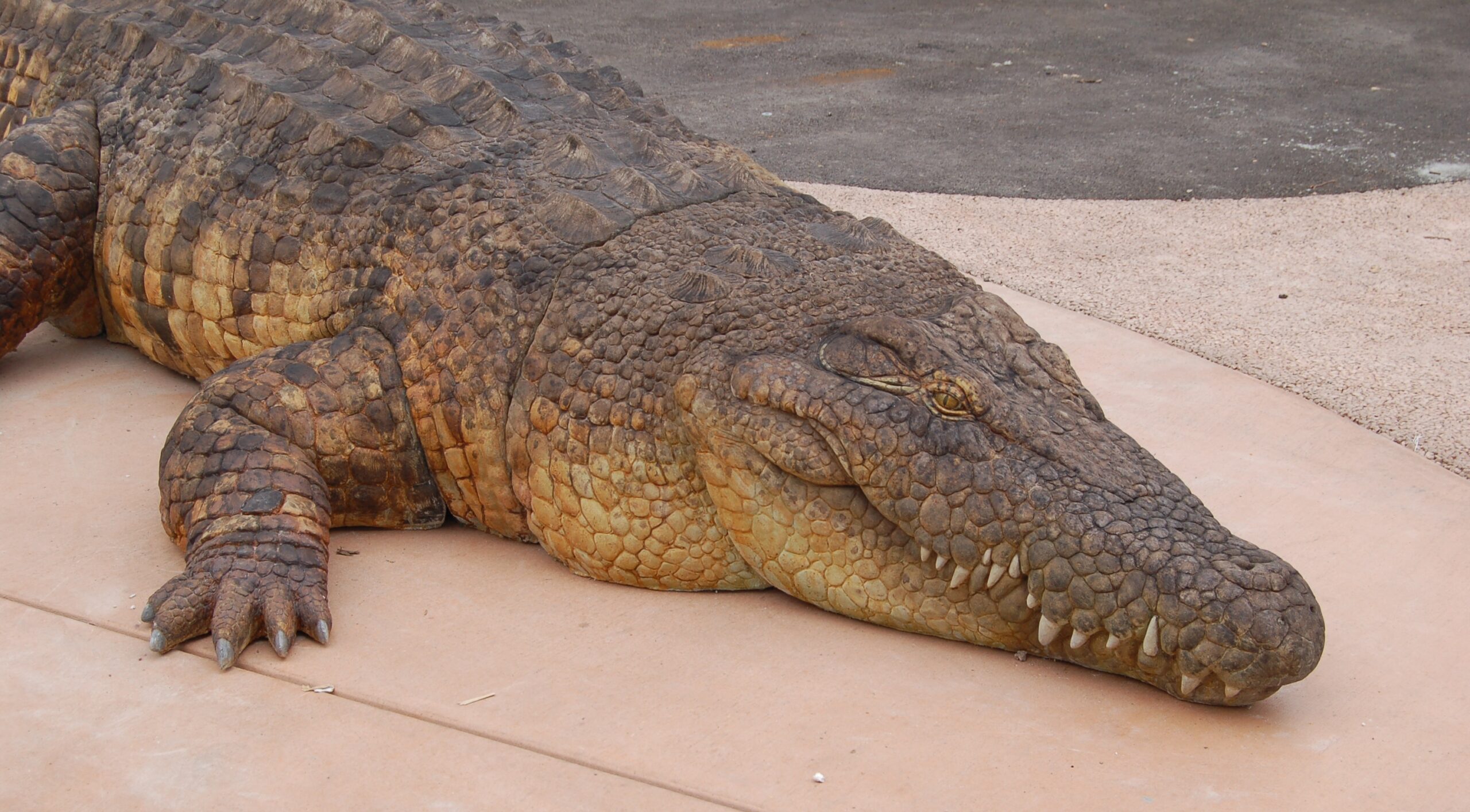 saltwater crocodile habitat map