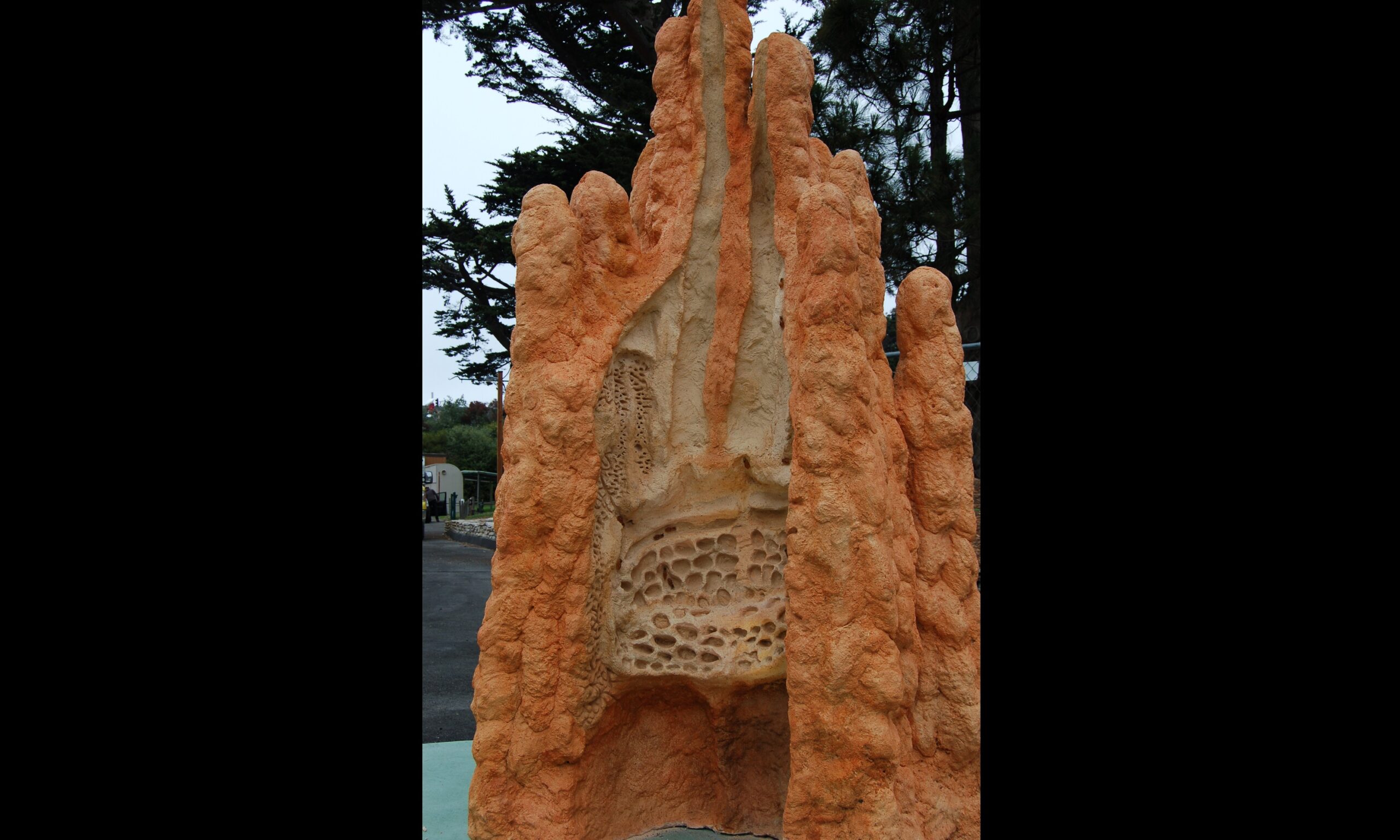 termite mound BB