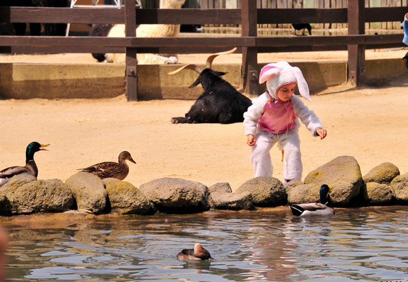 San Francisco Zoo