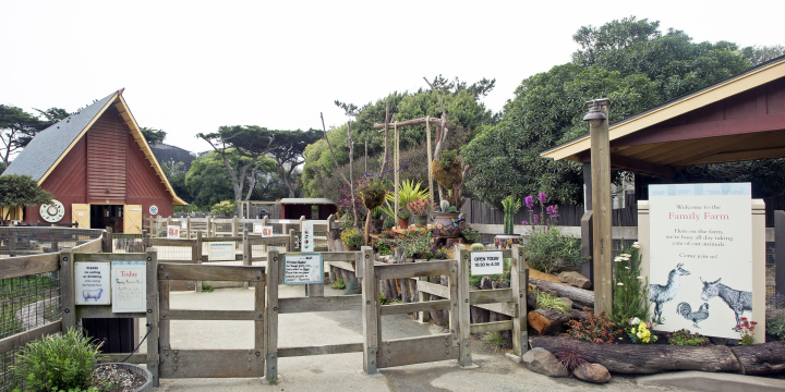 IMG_2566_2567Pano12x6ChildrensZooEntrance_resize