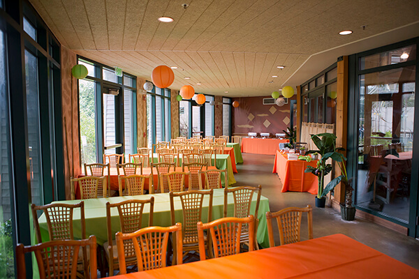 Lemur Room 1