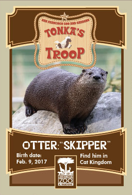 Otter pg2