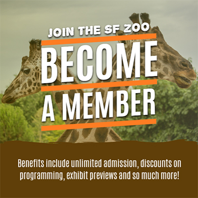 Become A Member