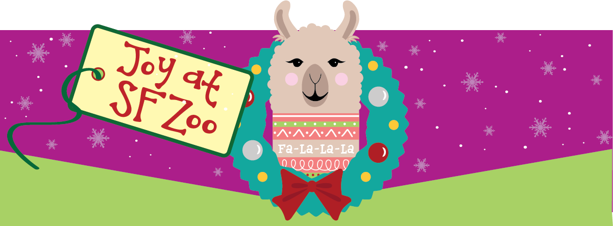 llama 1200x400-3