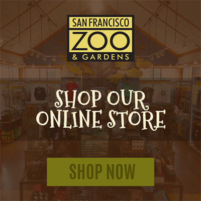 Shop Our Online Store