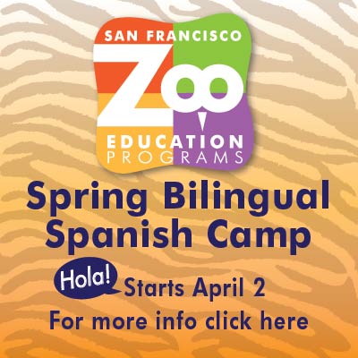 Bilingual 400x400-05-01 Teacher Appreciation 2022