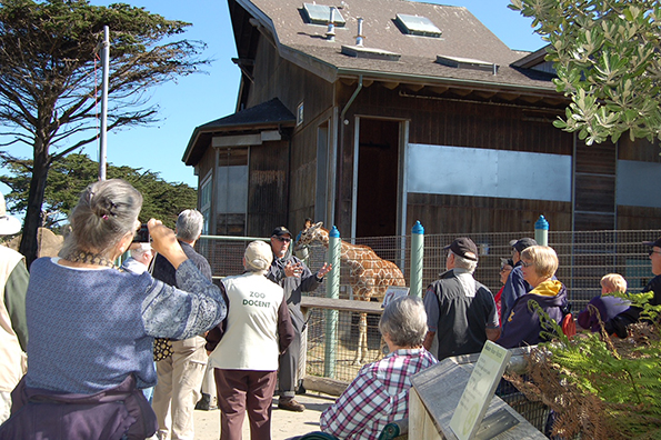 Tour-Senior-stroll-2