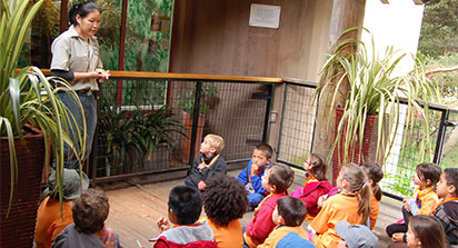 Exciting Educational Activities for Kids at the San Francisco Zoo & Gardens
