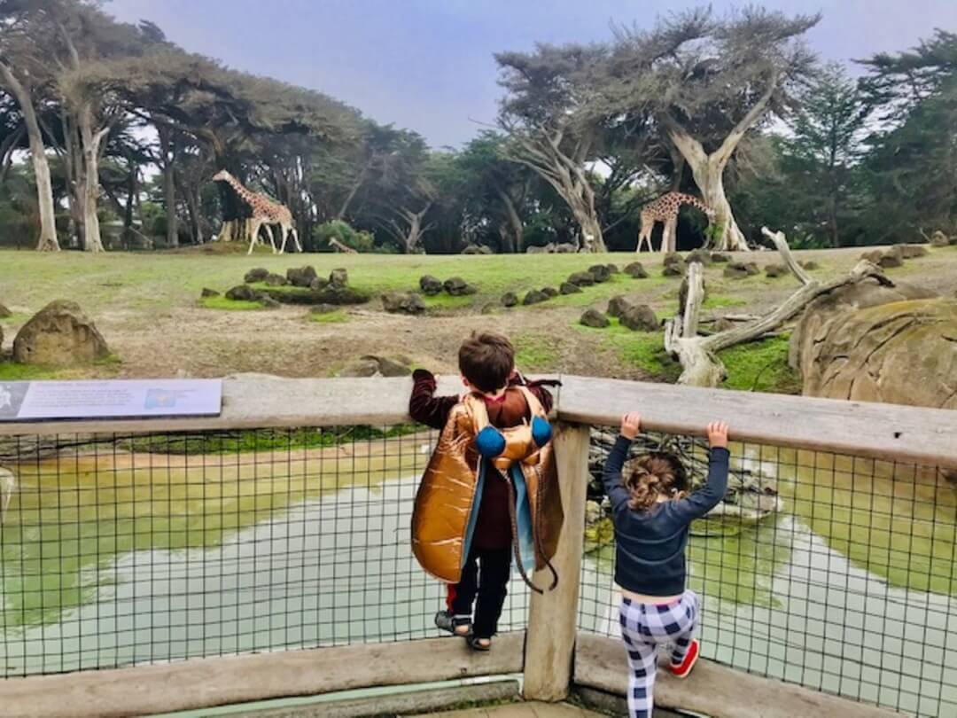 Kids having a good time at SF Zoo_2 Fun activities for kids in San Francisco