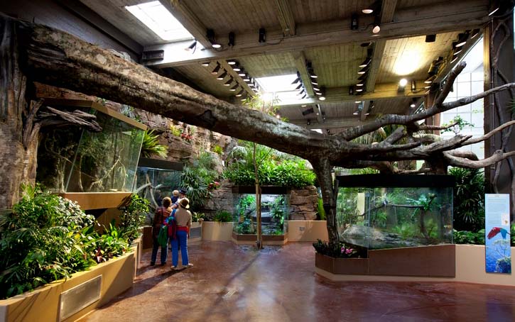 San Francisco Zoo