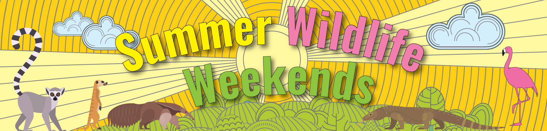 summwr-web-banner-2