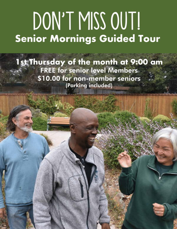 Tour-Senior-stroll-2