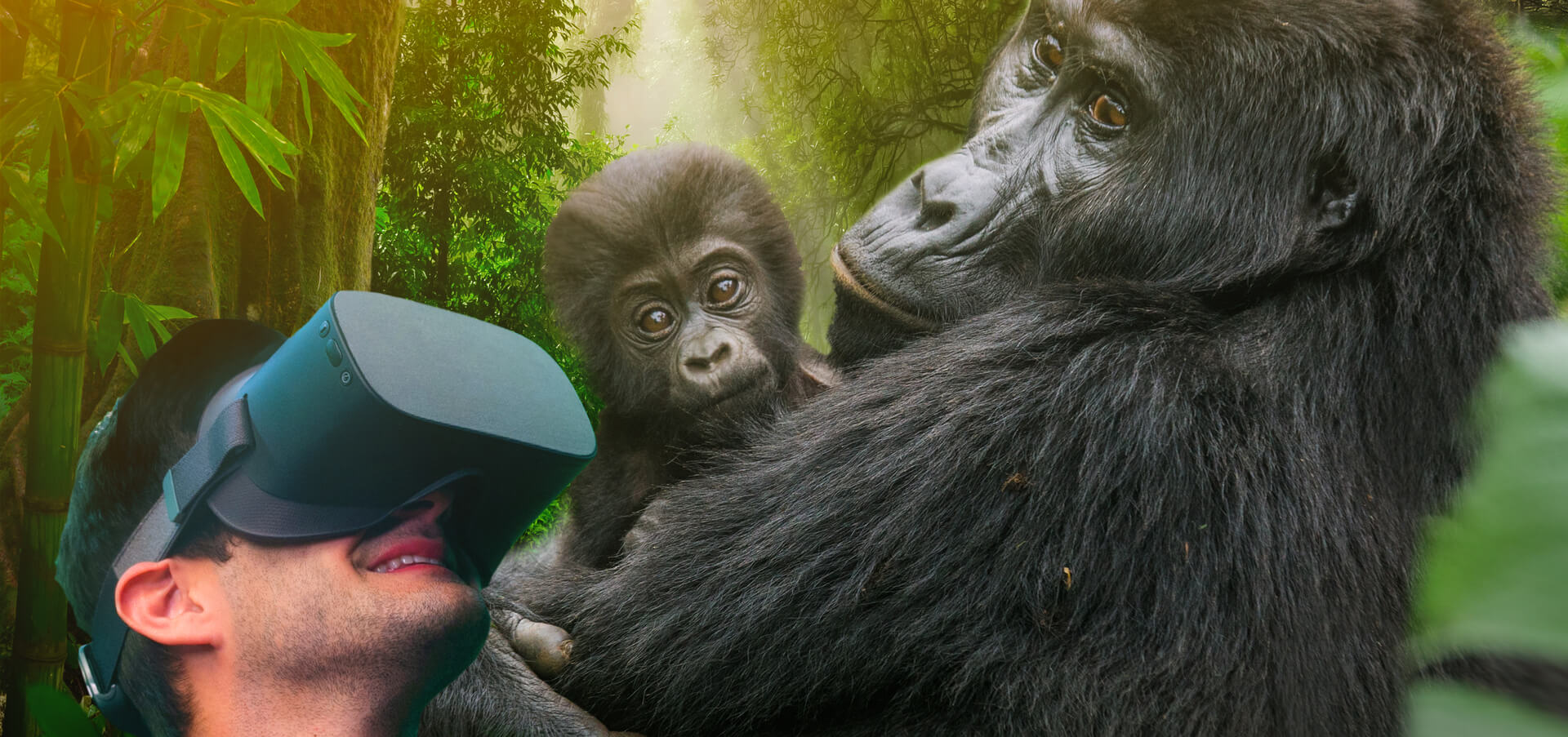 Gorilla Trek VR