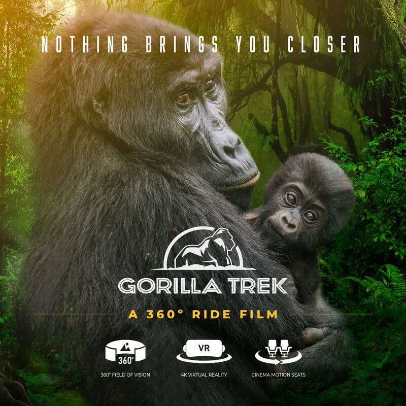 Gorilla Trek VR Experience