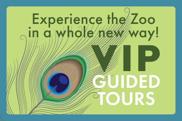 Member Appreciation Month