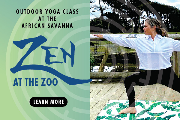 ZenZoo HmPg 600x400 Adopt an Animal