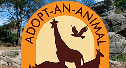 adopt-an-animal-1