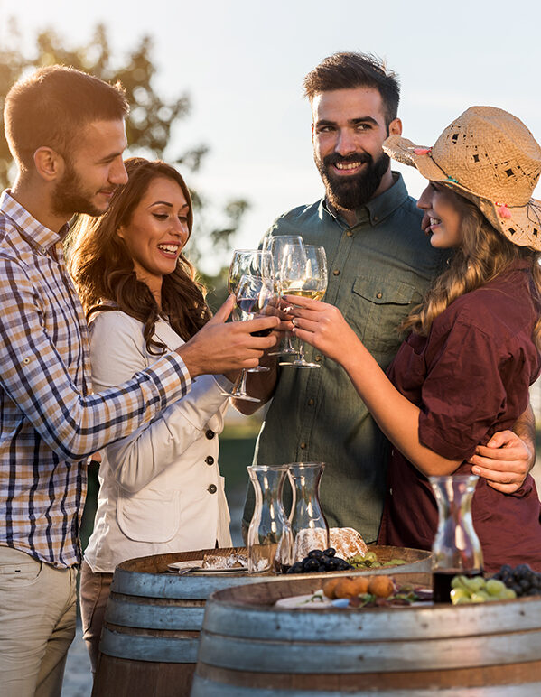 winery stock image