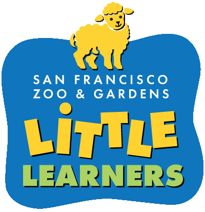 fun things to do with kids