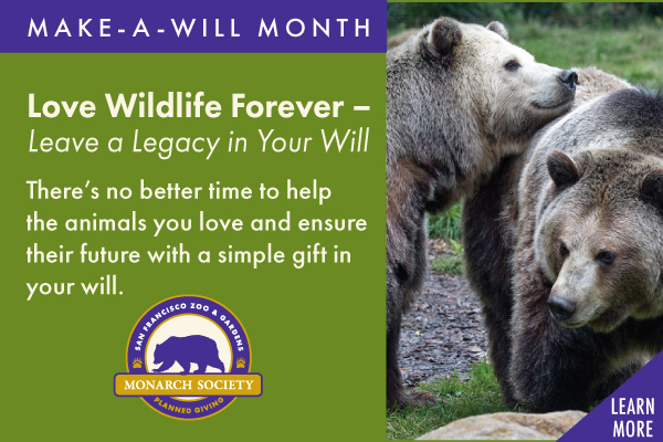 Member Appreciation Month