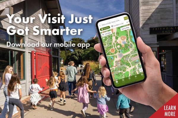 AppGraphic-HmPg-1 Sunset Fridays promotional tile. An after hours event for the whole family!