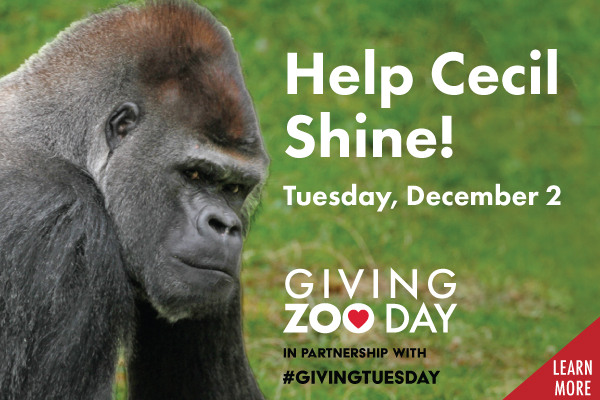 Giving-ZooDay-HmPg-1 Sunset Fridays promotional tile. An after hours event for the whole family!