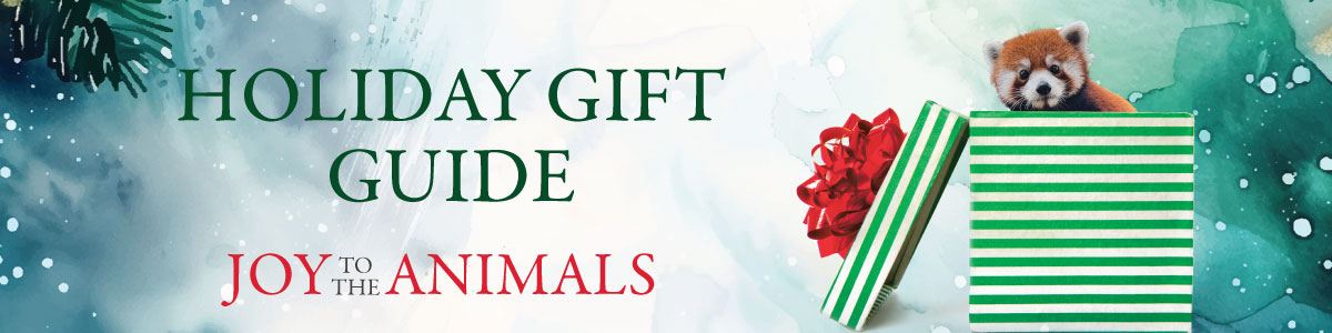 SF Zoo Gorilla Trek VR