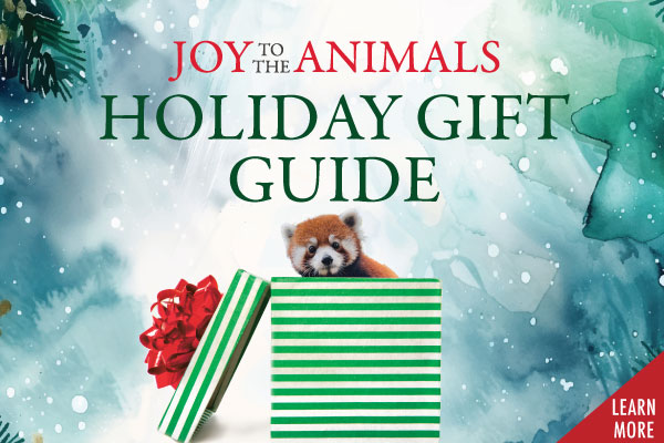 HolidayGiftGuide-HmPg Tile of the Zen at the Zoo program.