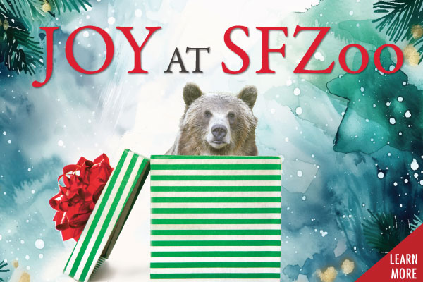 Joy-sfzoo-HmPg Child hugging plushy. This links to the online store of San Francisco Zoo & Gardens.