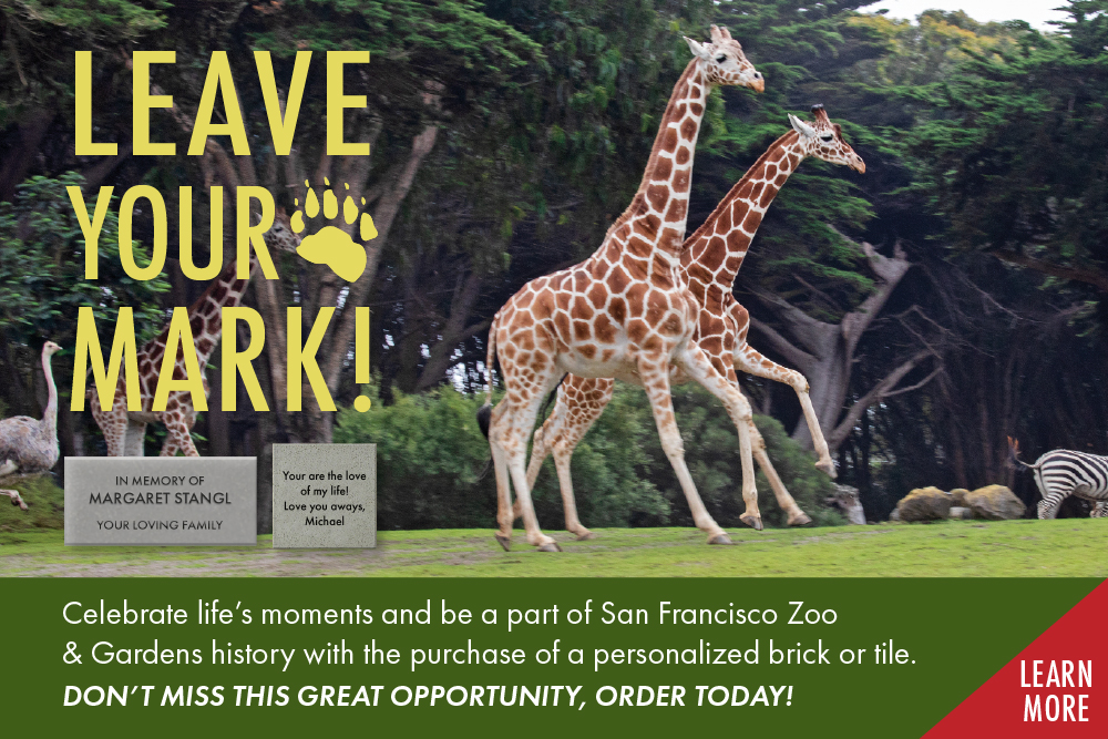 Child hugging plushy. This links to the online store of San Francisco Zoo & Gardens.