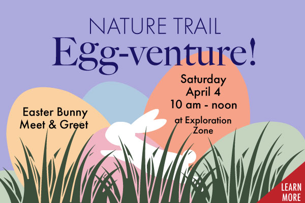 Tile of the Zen at the Zoo program.