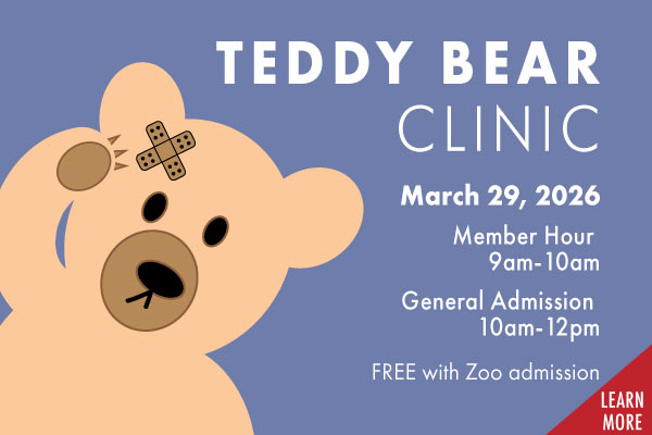 Teddy-Bear-clinic-26-HmPg Child hugging plushy. This links to the online store of San Francisco Zoo & Gardens.