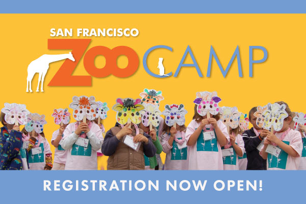 Child hugging plushy. This links to the online store of San Francisco Zoo & Gardens.