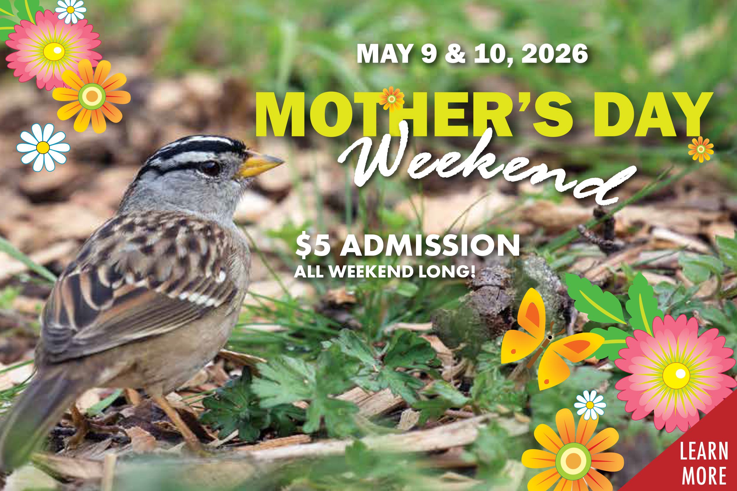 Sunset Fridays promotional tile. An after hours event for the whole family!