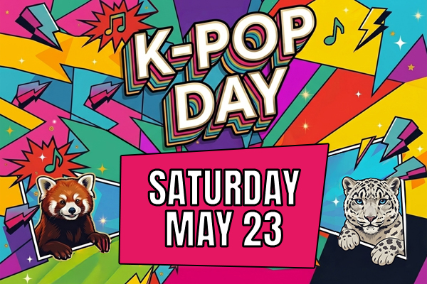 Newest VR experience, Dinosaur Evolution. Has a buy one get one special.