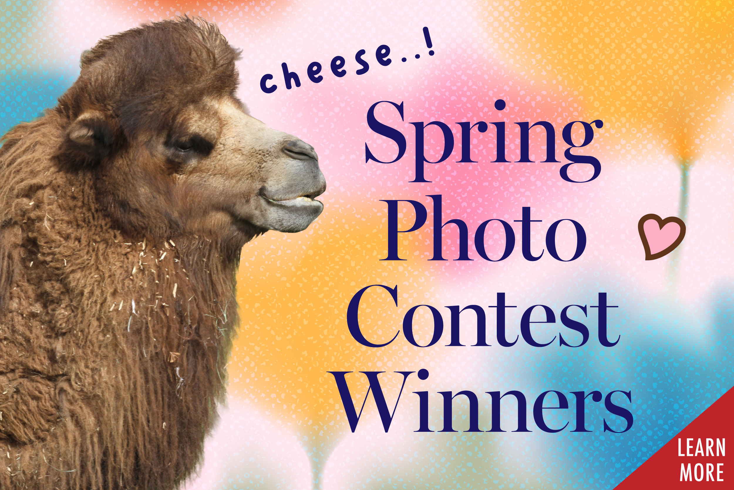 Spring Photo Contest winners Tile Tile of the Zen at the Zoo program.