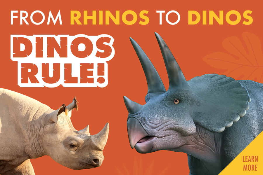 Newest VR experience, Dinosaur Evolution. Has a buy one get one special.