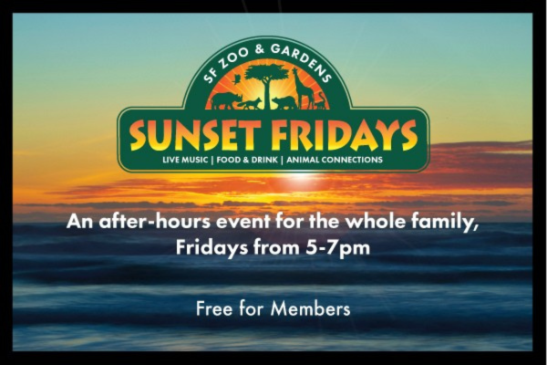sunsetfridays_temp Newest VR experience, Dinosaur Evolution. Has a buy one get one special.