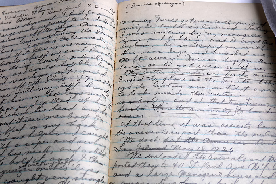 Photo of entry in the Bistany Journal.