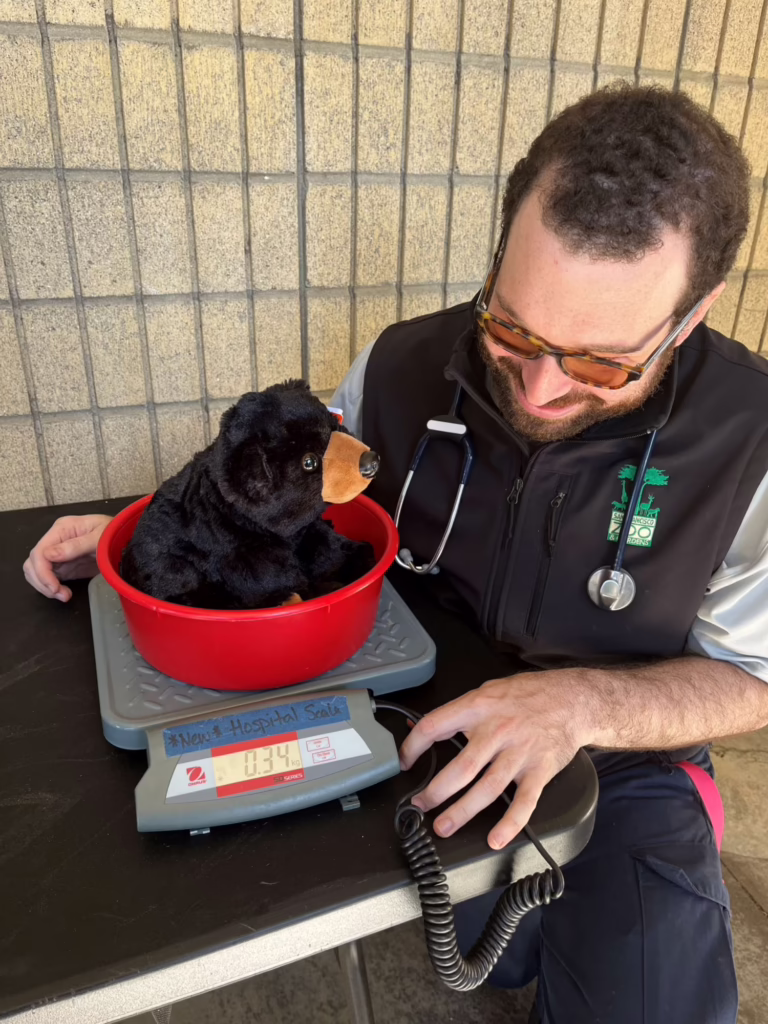 Teddy bear clinic